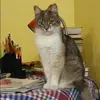 Отзыв от Римма Шубина